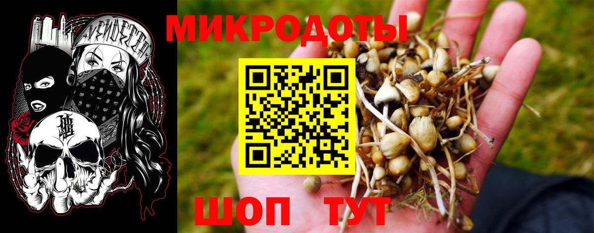 Галлюциногенные грибы Cubensis  хочу наркоту  Новошахтинск  Вход с VPN 