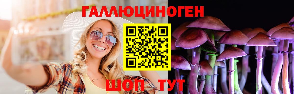 Галлюциногенные грибы Psilocybe Новошахтинск